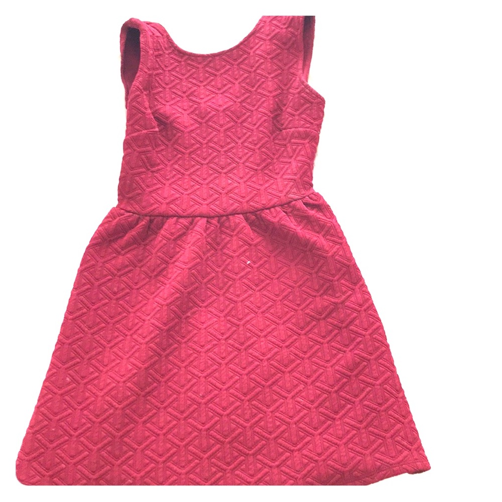 Perfect holiday skater dress with zipper